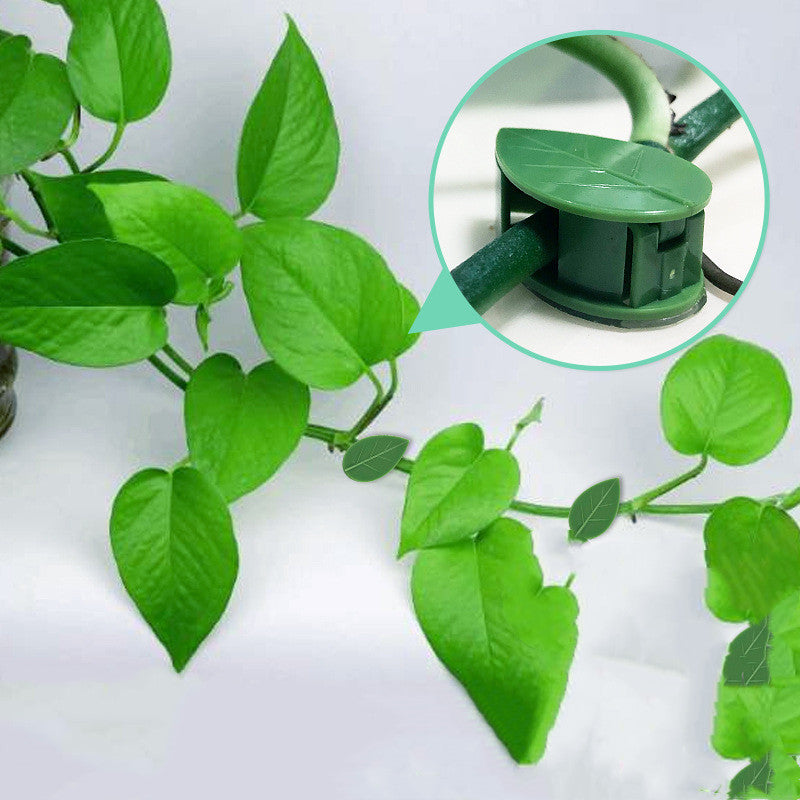 Plant Fixture Clip