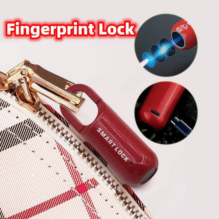 Smart Fingerprint Lock USB