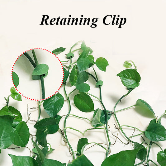 Plant Fixture Clip