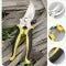 Professional Garden Trimming Shears | Sharp Precision Pruning Scissors for Plants & Hedges
