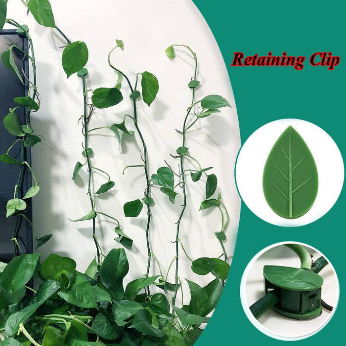 Plant Climbing Wall Clips Set
