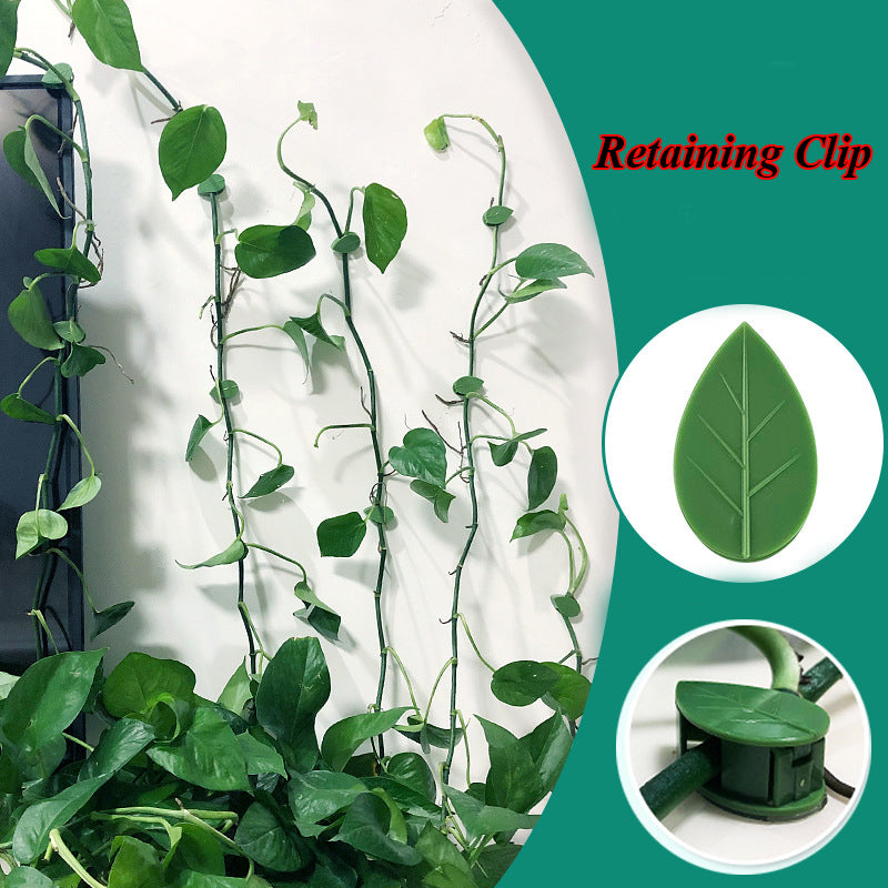 Plant Fixture Clip