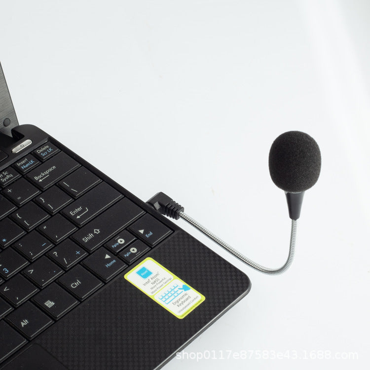 Noise Reduction Microphone