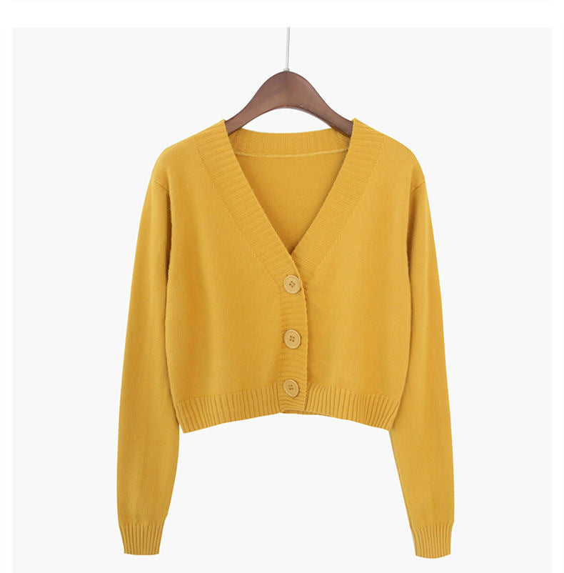 High Waist Long Sleeve Shawl