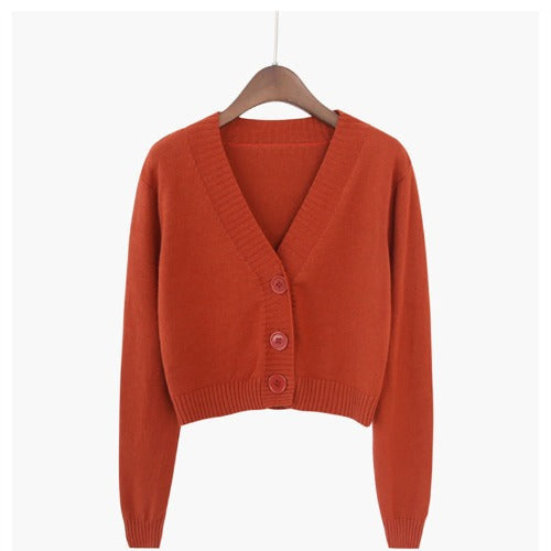 High Waist Long Sleeve Shawl