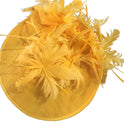 Ladies Feather Hat