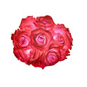 Rose Flower Lights