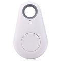 Mini GPS locator